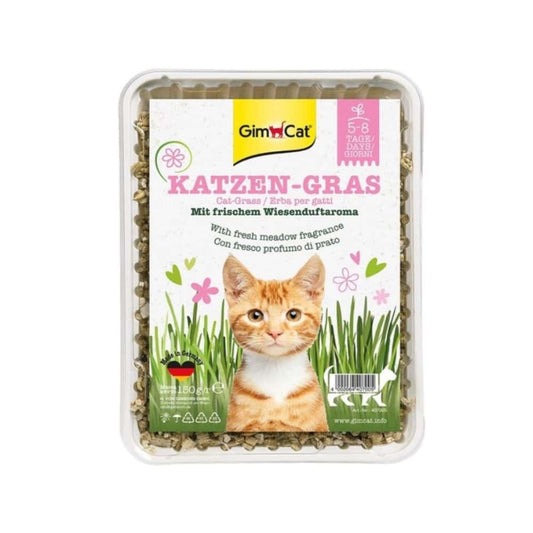 GimCat Cat GRASS - kattagras