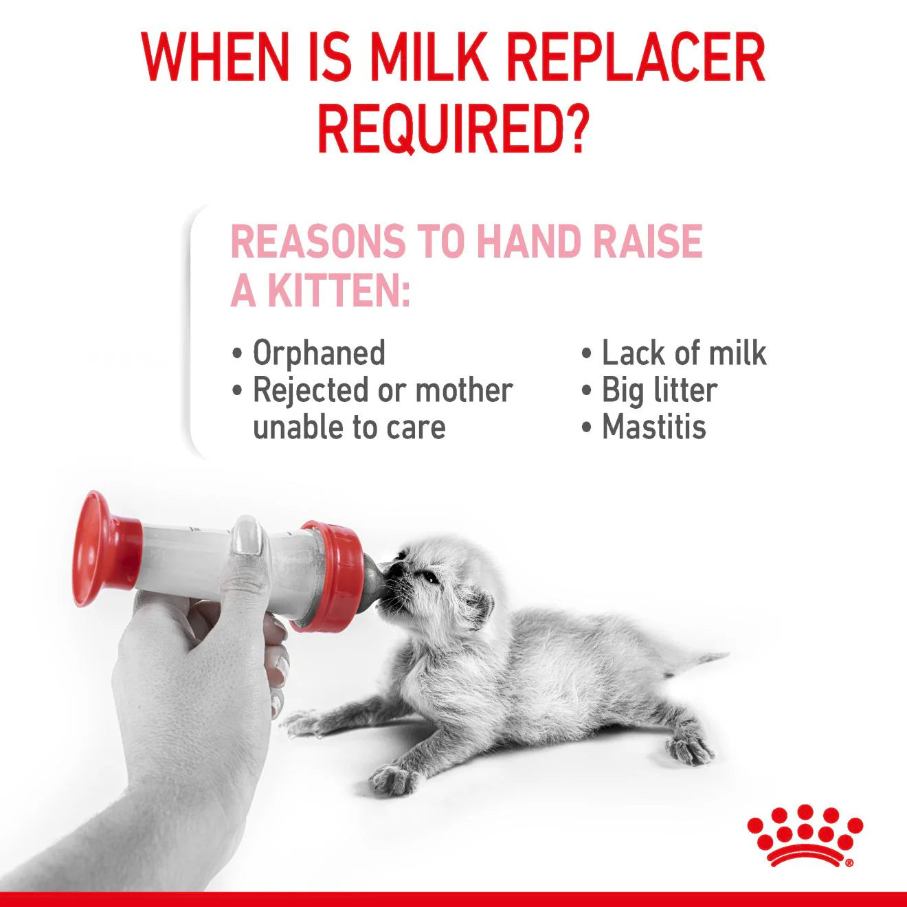 RC Cat BabyCat Milk kettlingamjólk 300gr