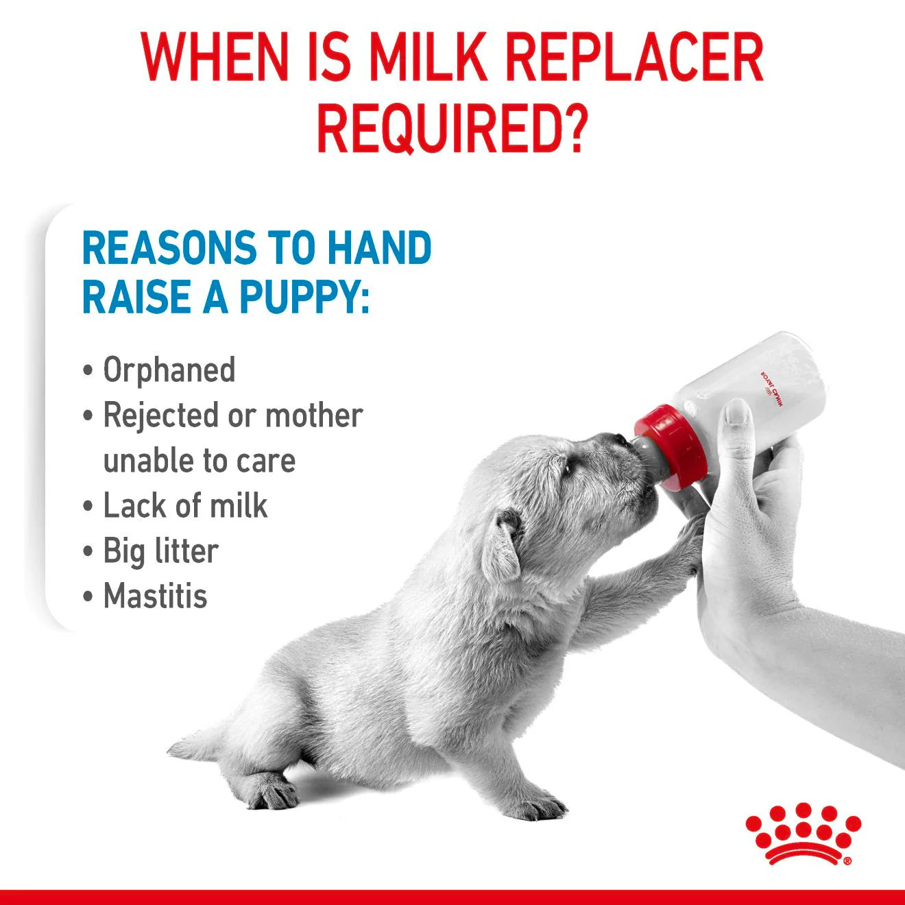 RC Dog BabyDog Milk hvolpamjólk 400gr