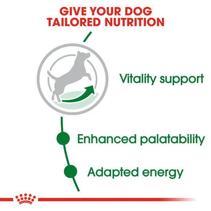 Royal Canin MINI ADULT 8+, mynd 2