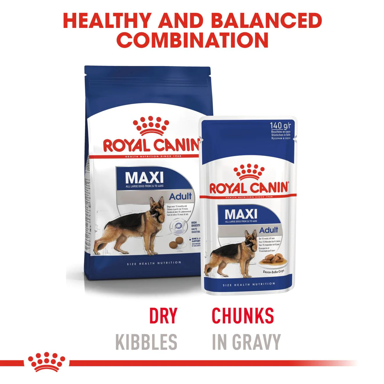 Royal Canin MAXI ADULT