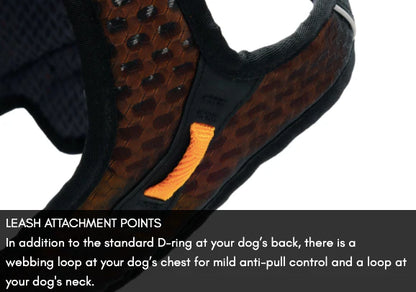 ROCK HARNESS Long, mynd 2