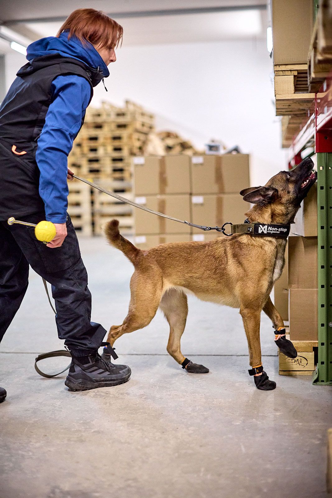 Solid collar "Working Dog" Black (ýmsar stærðir)