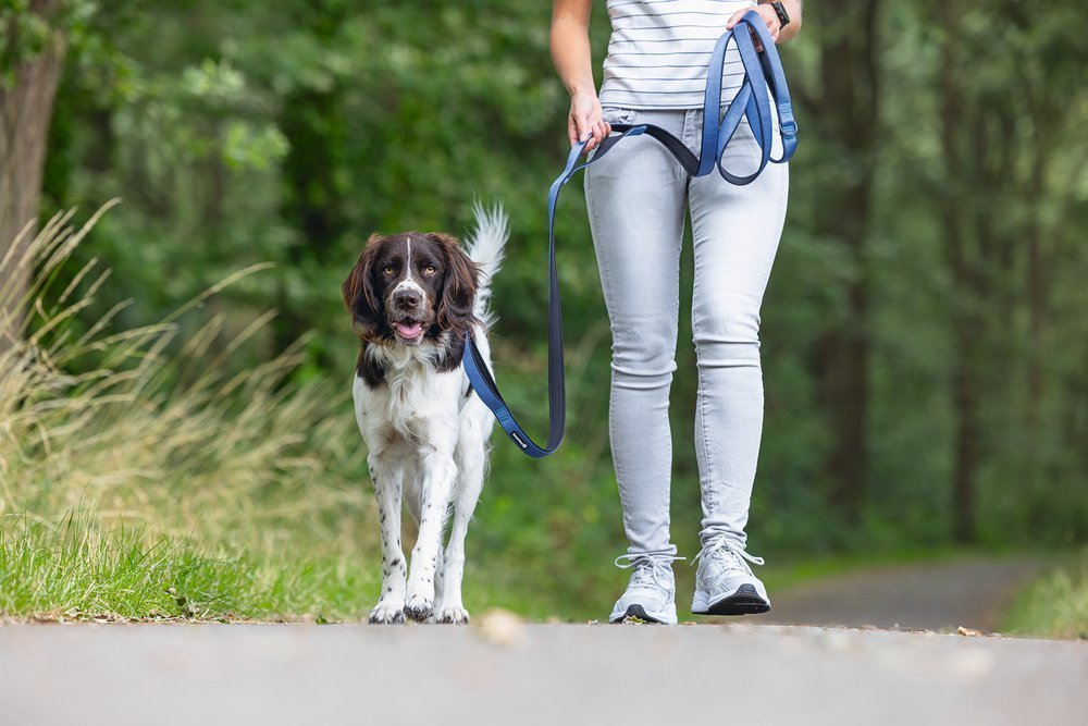 BeeZtees Parinca Premium Leash TAUMUR 3m (3 litir)