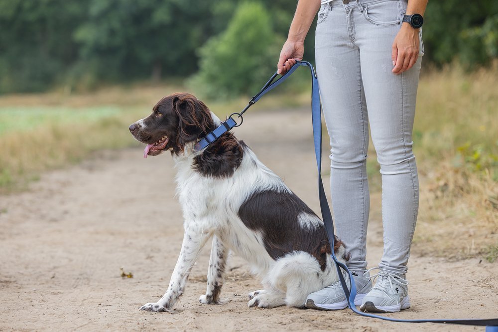 BeeZtees Parinca Premium Leash TAUMUR 3m (3 litir)