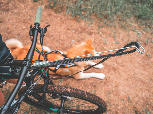 Reiðhjólafesting - NS Bike Antenna (Framan á)