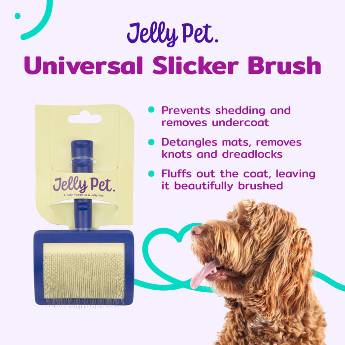 JELLY PET  Slicker, bursti (síðhærðir)