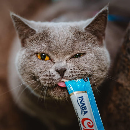 CHURU Cat, mörg brögð, 4 stangir, mynd 5
