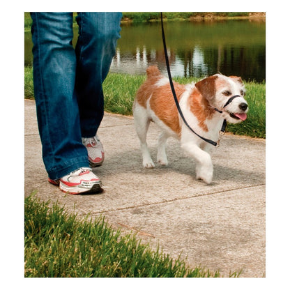 Pet Safe EASY WALK þjálfunartaumur (S-L), mynd 10