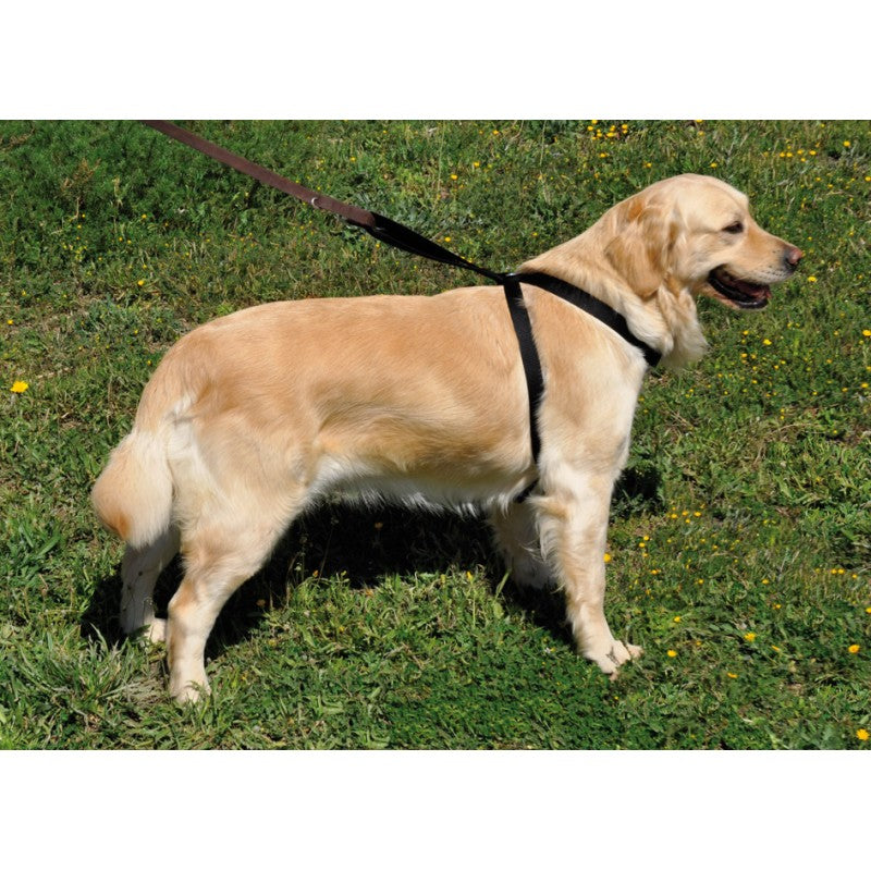 Nayeco Car Harness Öryggisbelti