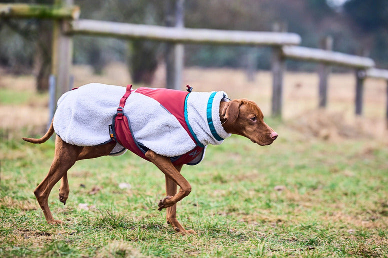 Trekking Fleece Jacket