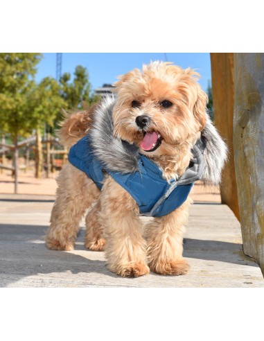 CANADA NAVY BLUE Jakki, úlpa (stærðir 20-65 cm)