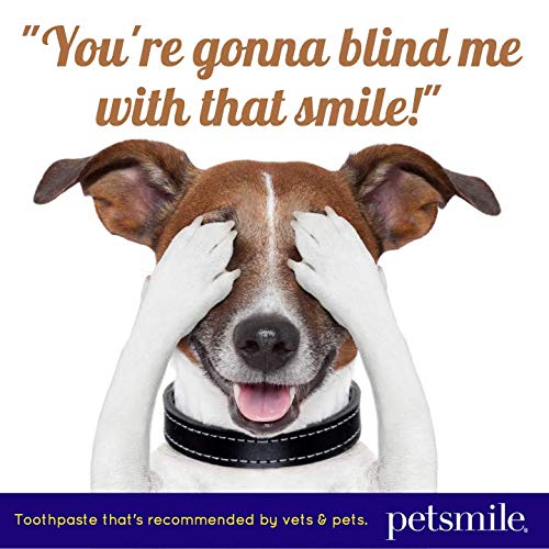 PETSMILE tannkrem fyrir hunda og ketti