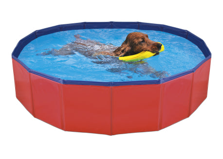 DOG POOL, hunda sundlaug, leiklaug