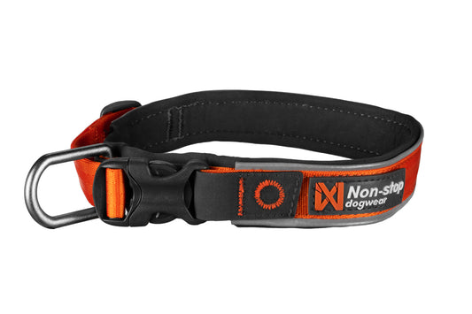 Roam Collar Orange