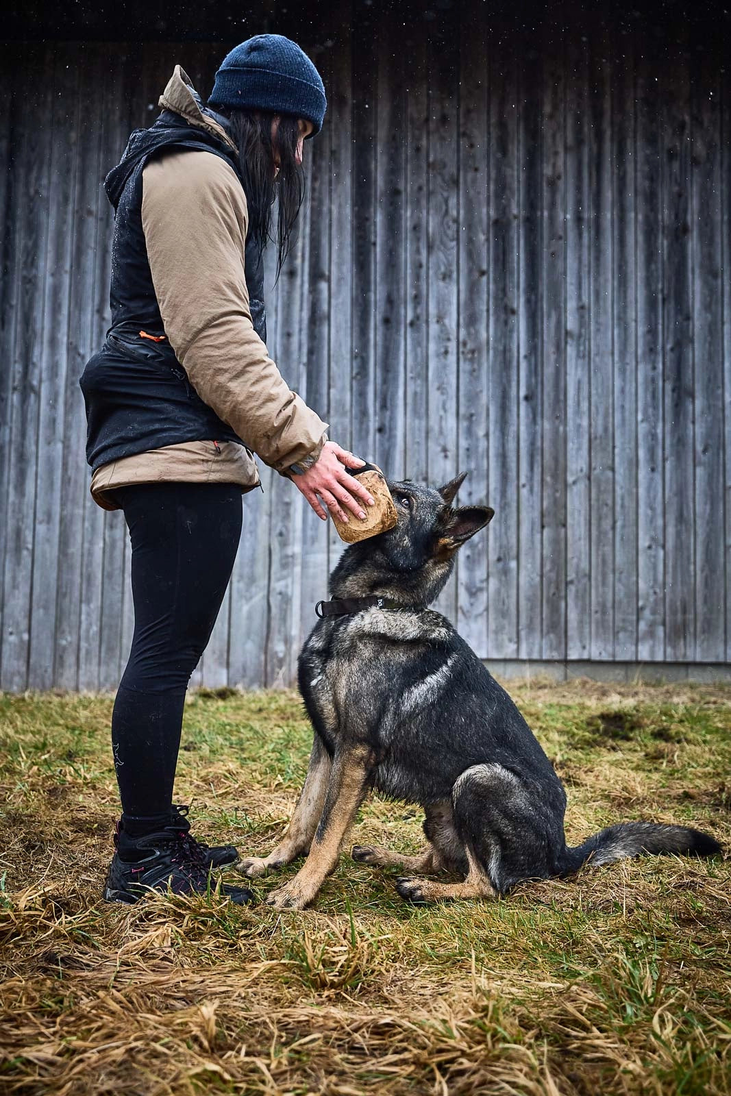 Solid adjustable collar Working Dog - Olive græn