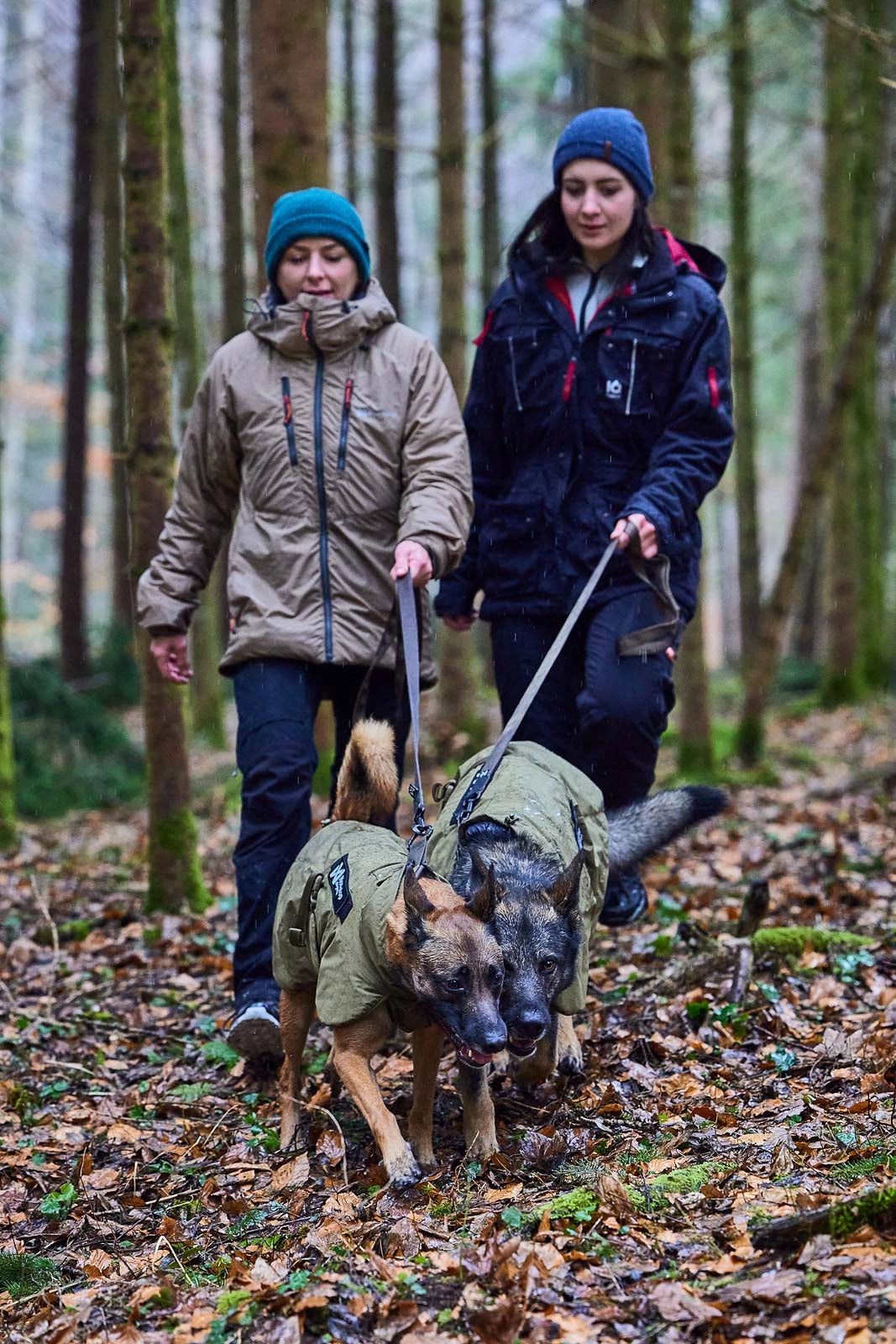 Solid leash "working dog" 2m - Olive grænn