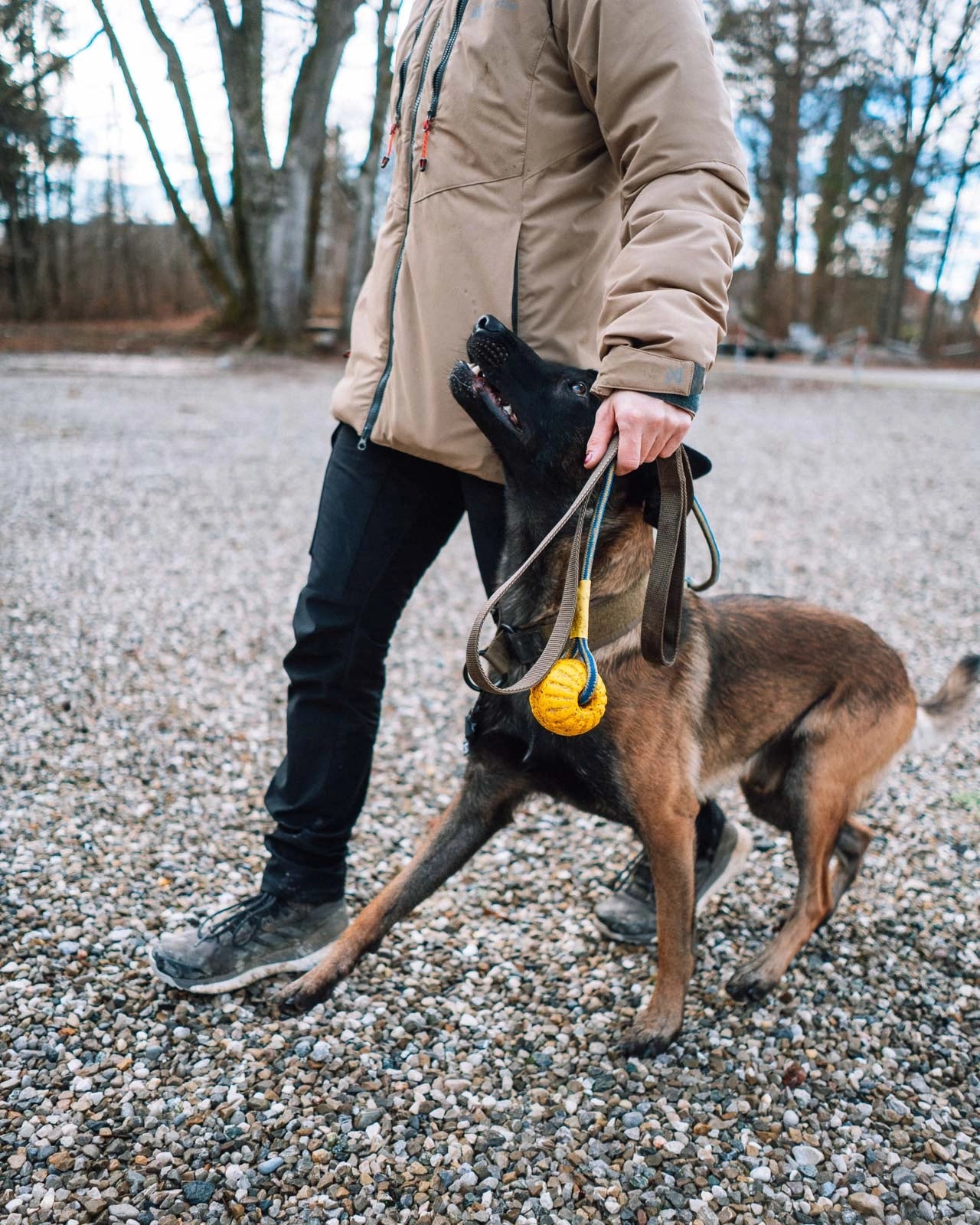 Solid leash "working dog" 2m - Olive grænn