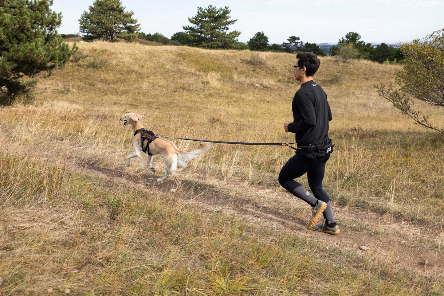 Trail light belt