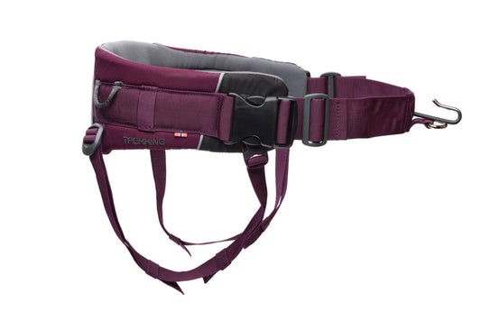 Trekking belt 2.0 Purple