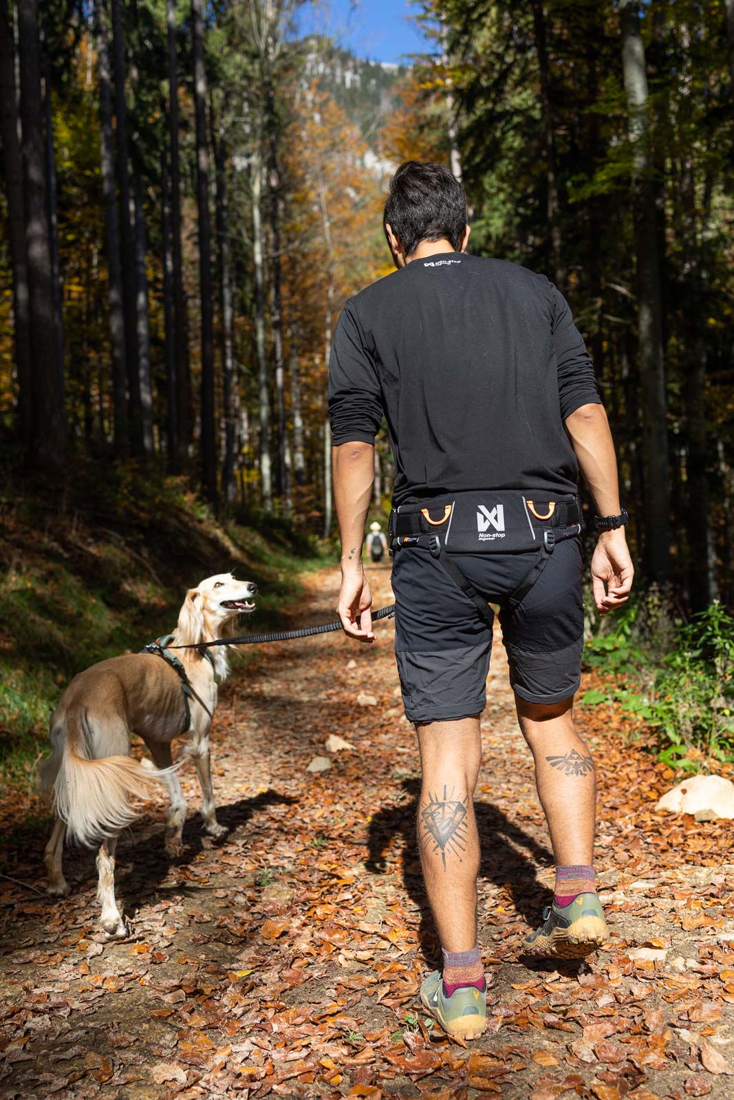 Trekking belt 2.0 Black/Gray